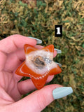 Carnelian Star