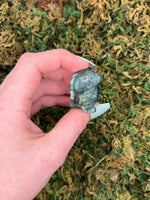 Labradorite Dinosaur