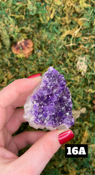 Amethyst Cluster