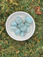 Amazonite - Tumbled