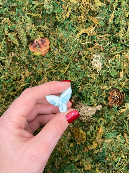 Larimar Whale Tail